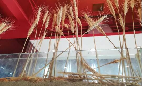 开业四五年，熟客一大把，门店像家一样