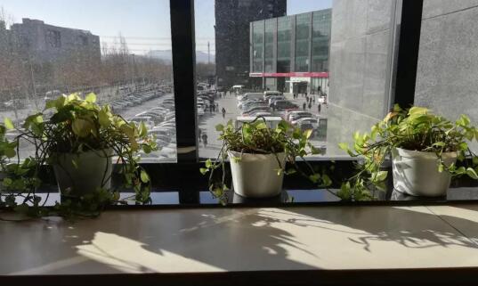 开业四五年，熟客一大把，门店像家一样